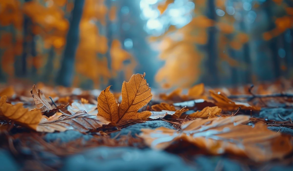 novembre